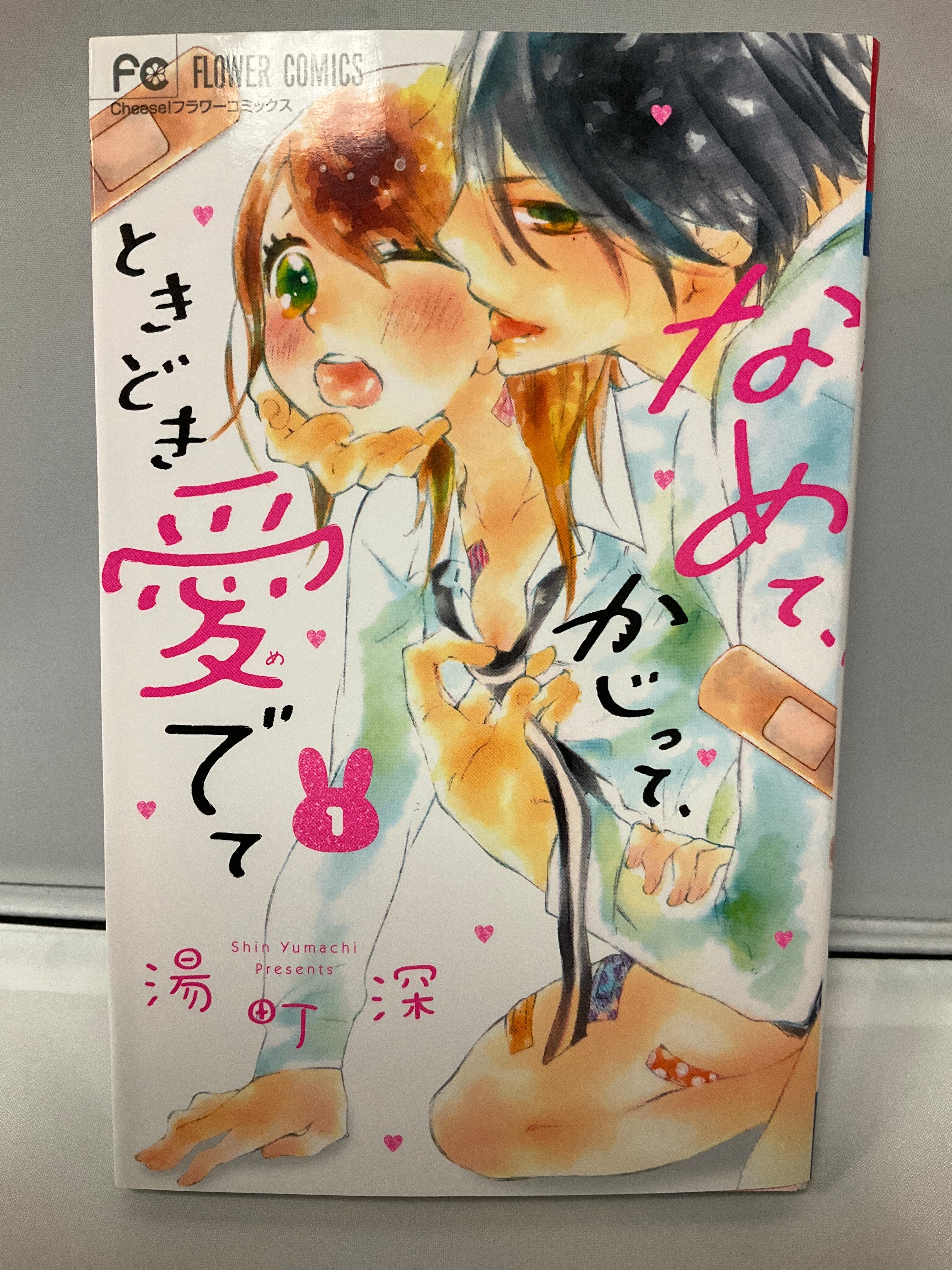 *Complete Set* Namete, Kajitte, Tokidoki Medete Vol.1 - 15 : Japanese / (G)