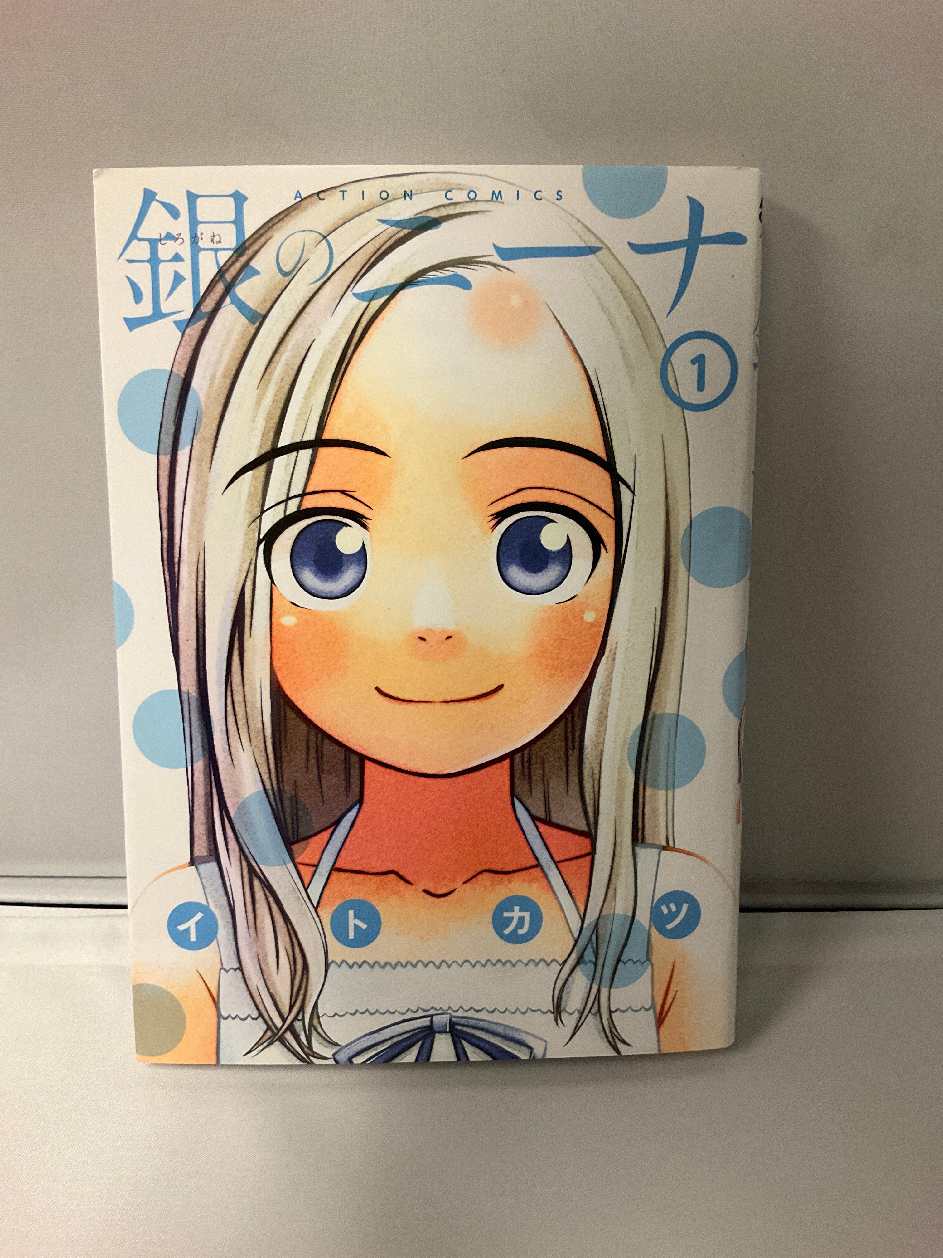 * Complete Set*Silver Nina Vol 1-15 : Japanese / (G)